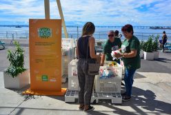 Solidariedade no Veste Rio: 1,5 tonelada de alimentos doada pelo público até a tarde de hoje
