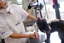 Escola Móvel Pet do Senac RJ participa da Semana S com serviços gratuitos para animais e tutores na Praça Mauá